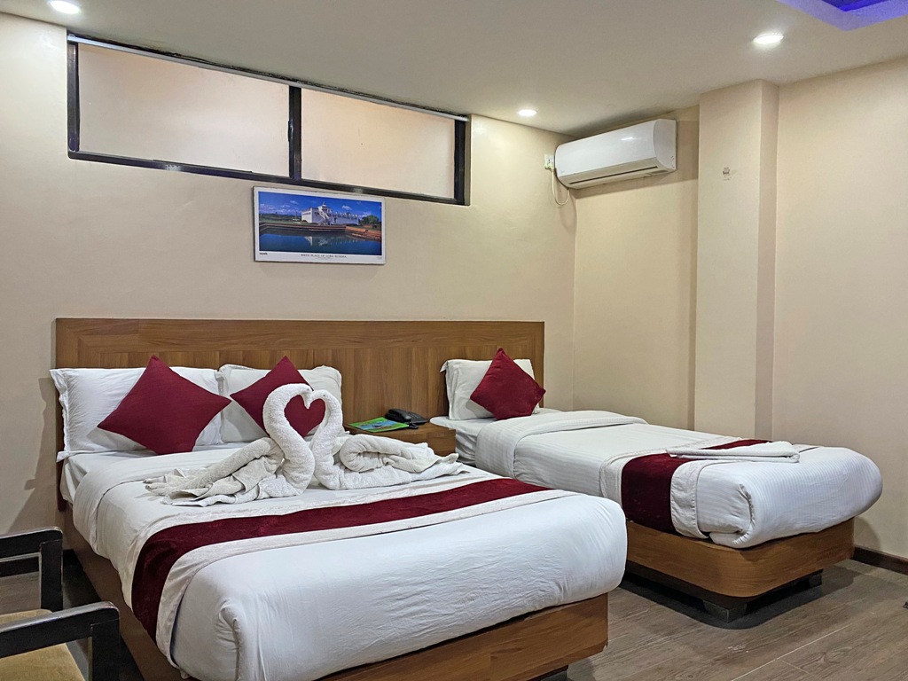 Deluxe Double or Twin Room